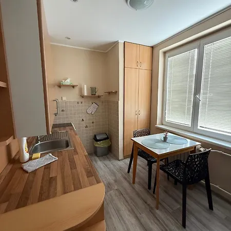Διαμέρισμα Penthouse - Masarykovo